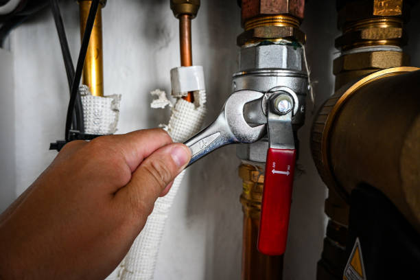 Best Emergency Plumbing Services in Lake Sarasota, FL